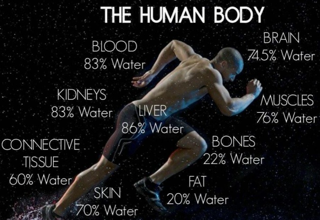 water-and-the-body