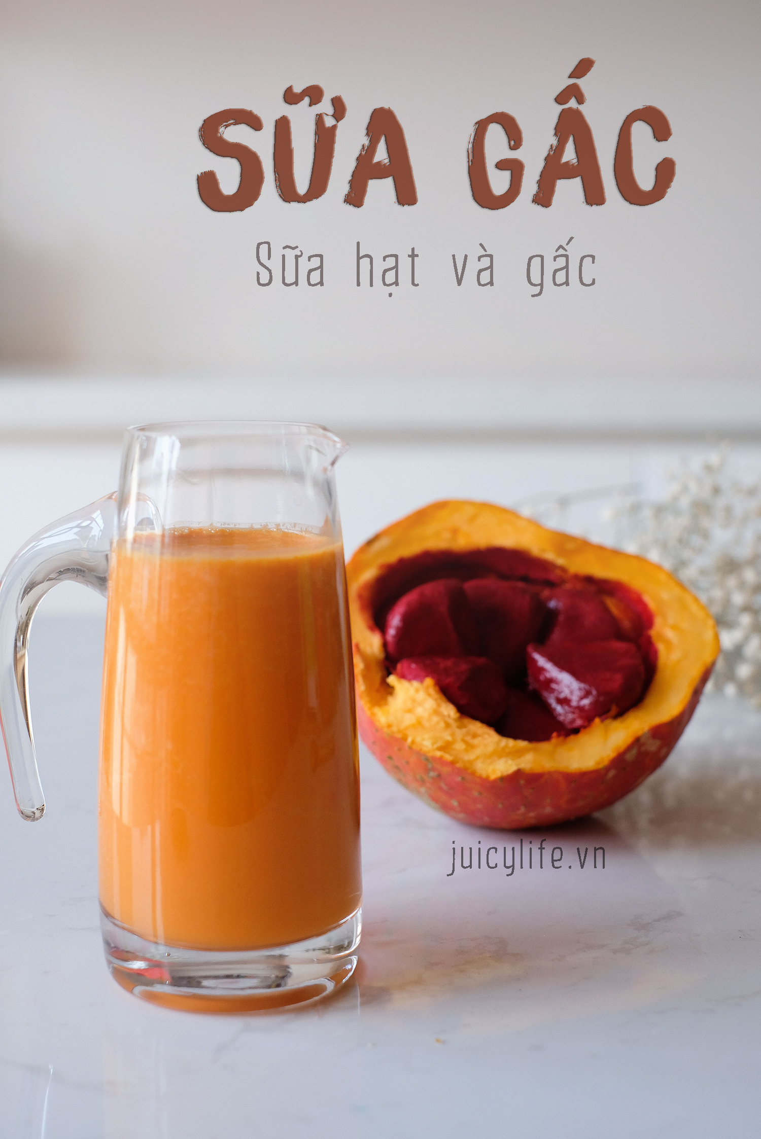 Công Thức Sữa Gấc cho đôi mắt sáng - Gac Nut Milk - Juicy Life